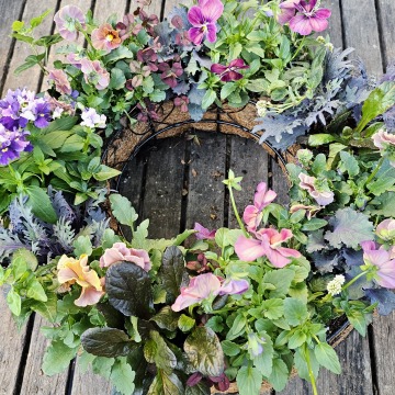 パンジーの寄せ植えリース作り