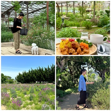 ハーブガーデンで過ごす癒しの時間♡千葉にある２つのハーブガーデン