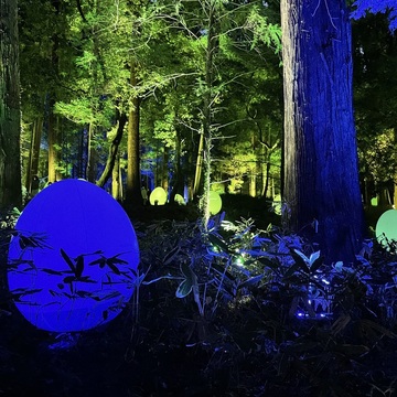 開放感いっぱいの自然空間でデジタルアート体験