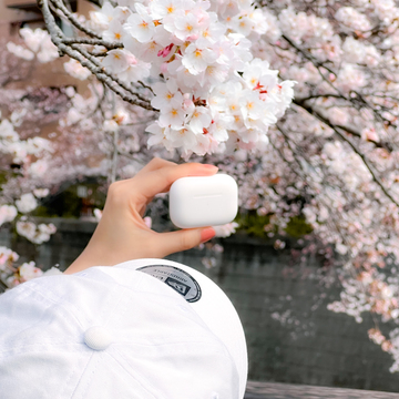 【さかぽんの冒険】AirPods Proと魔法のサクラ旅❤️@目黒川