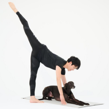 歪んだ骨盤をリセットして下腹を薄くする！骨盤を整える簡単ストレッチ【骨盤を整える床バレエ】