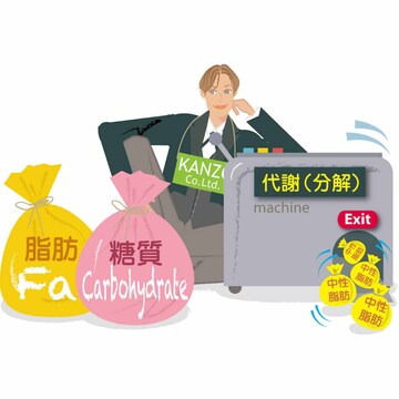 痩せる食事・食べ方とは？主食を減らして糖質10～15％オフ。野菜で食物繊維、肉・魚・卵でタンパク質をしっかり摂取！