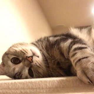 ヘンなポーズでアピール