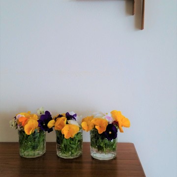 初夏のおしごと