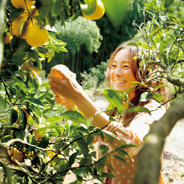 気品漂う香りのベルガモットを栽培する『みかん家 にしごみ』【有元葉子、美味しいものは高知にあり】