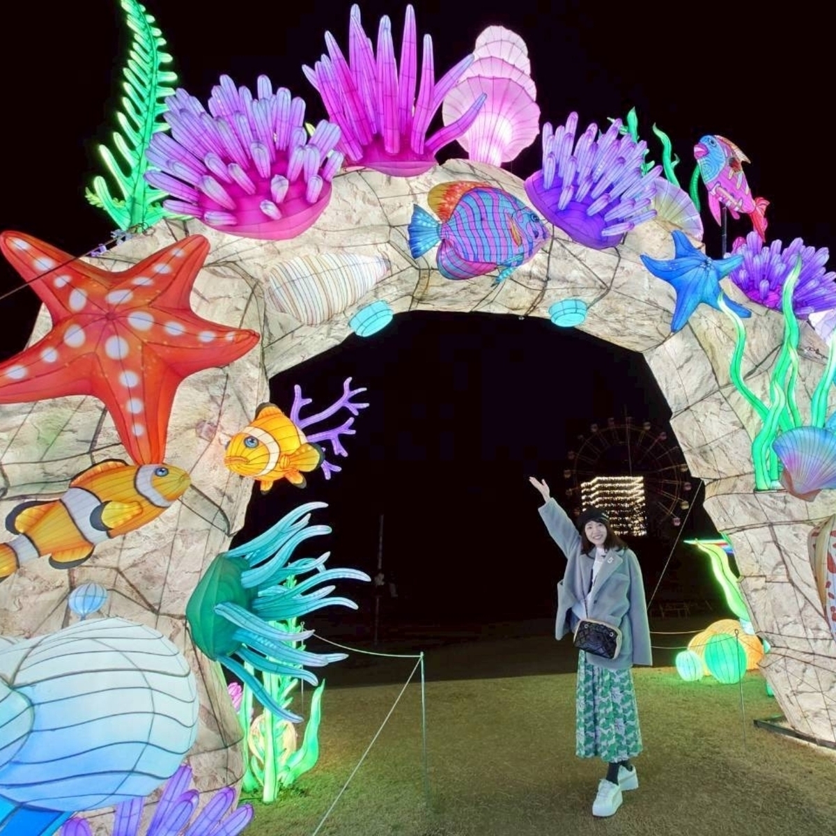 東京ドイツ村のイルミネーション　✨️キラキラ光のあーとぴあ✨️