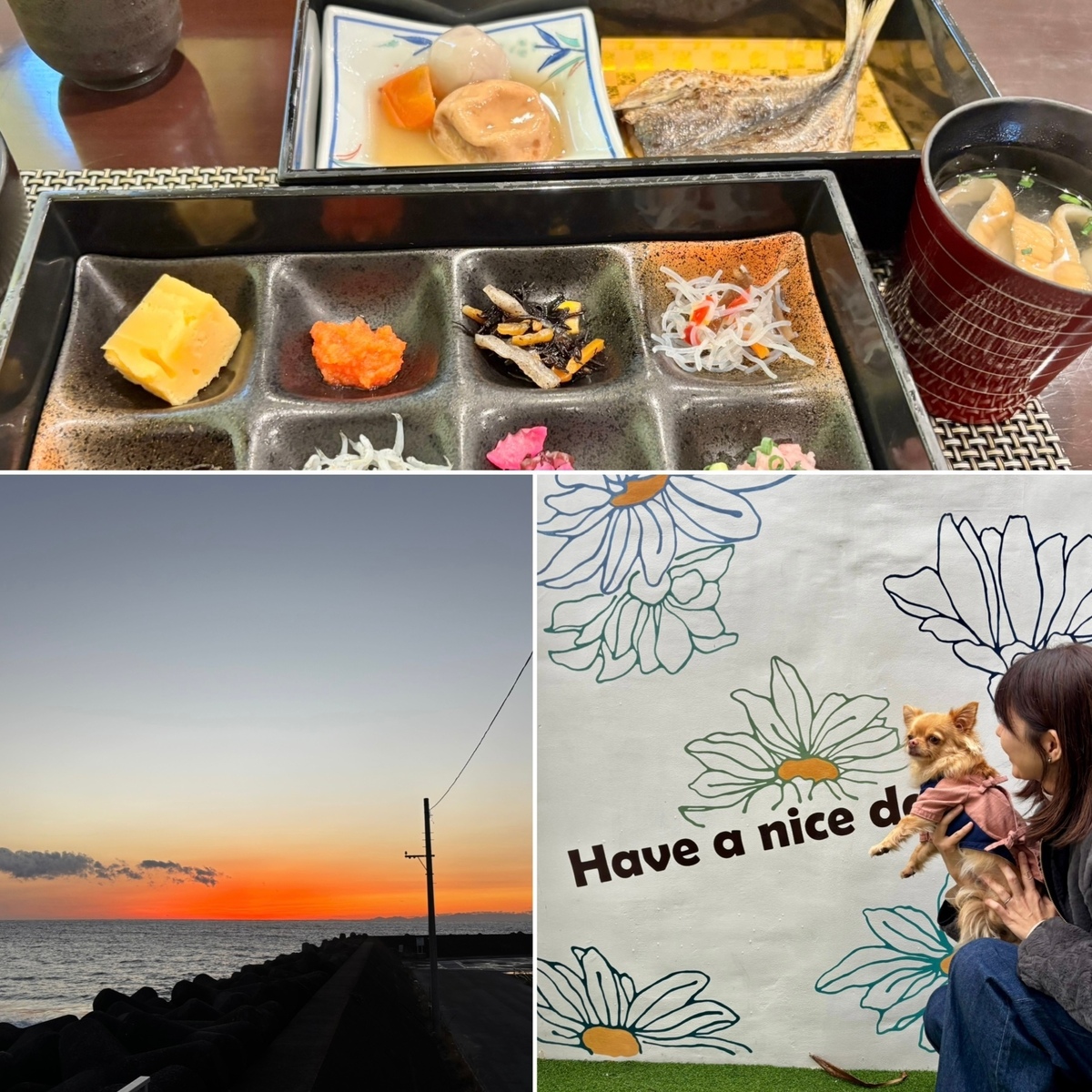 愛犬とお泊まりできる伊豆の温泉宿