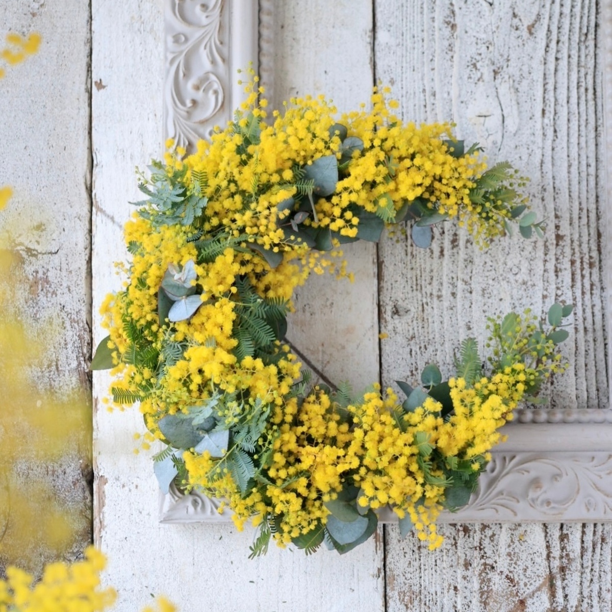 ミモザ の季節がやってきた｜春を感じるミモザのブーケ