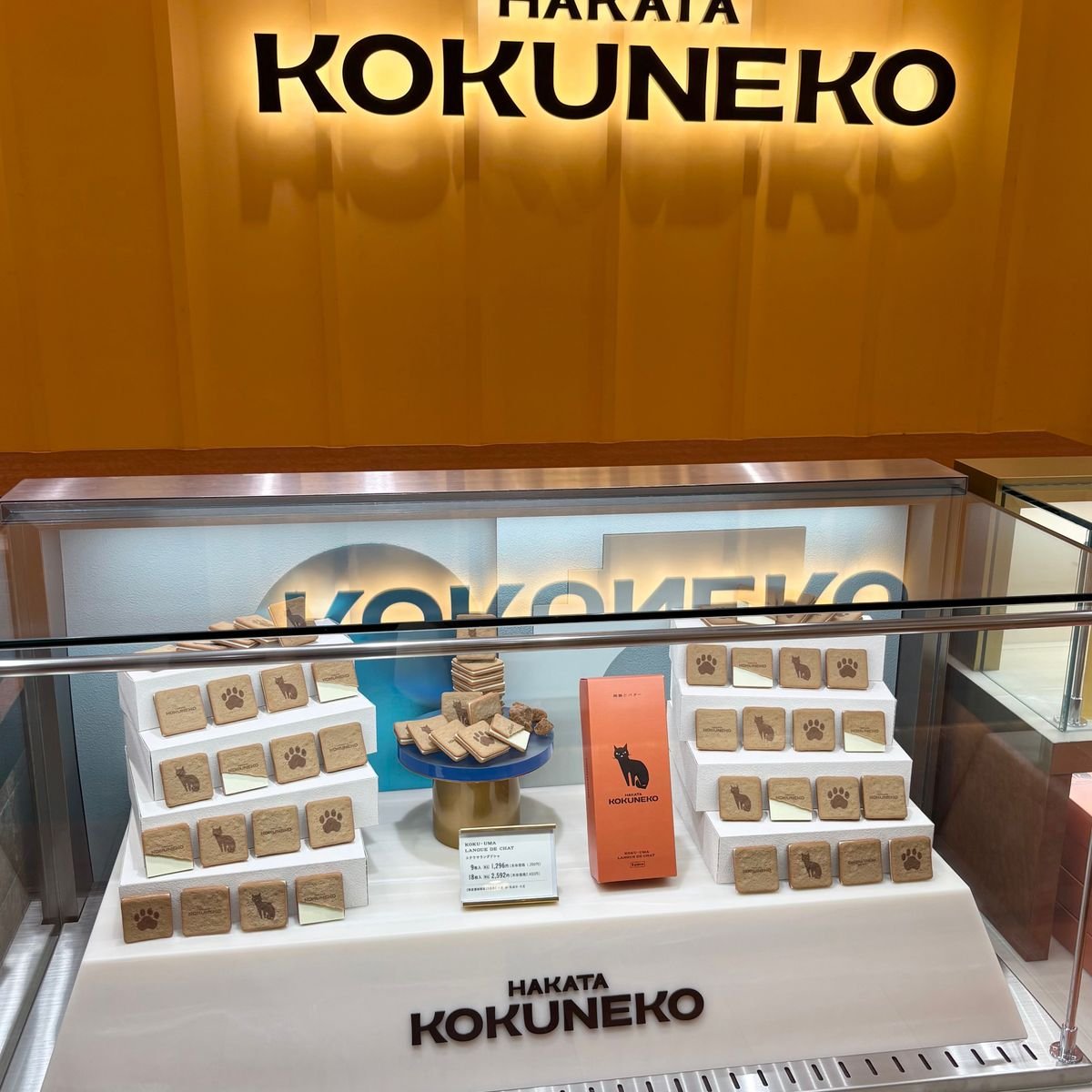 福岡・博多土産の新定番！可愛くて美味しい「HAKATA KOKUNEKO（博多コクネコ）」！