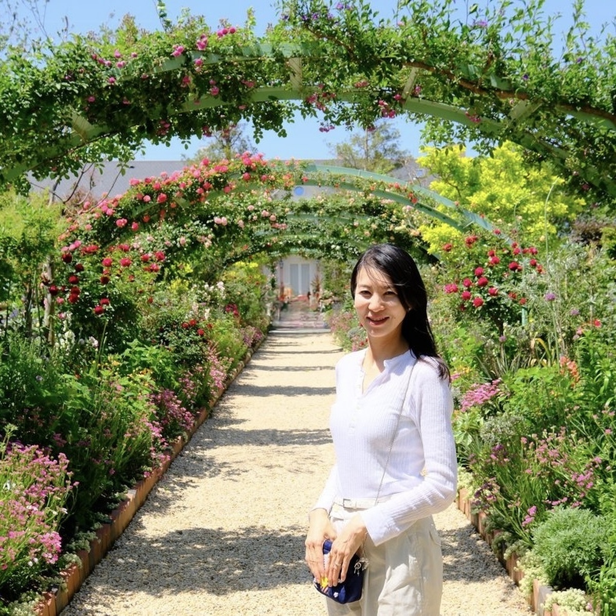 お茶と花で味覚、嗅覚と視覚を刺激して楽しむ遠州の旅【前編】