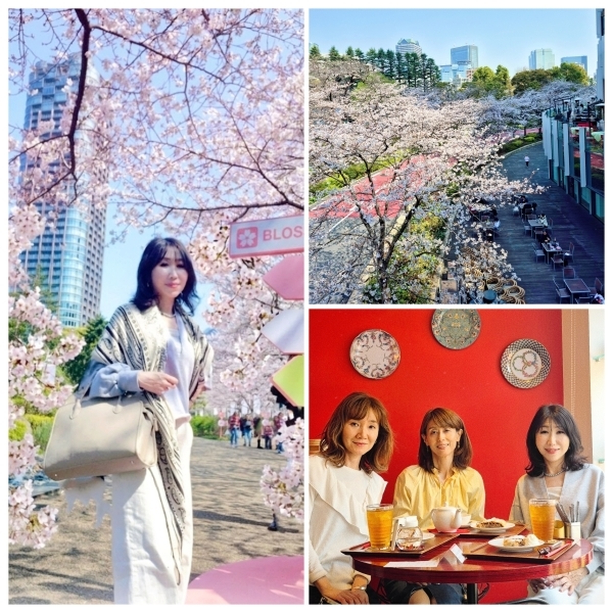 【東京ミッドタウン】から【毛利庭園】へお花見🌸あの人気ドラマの専門店も♪