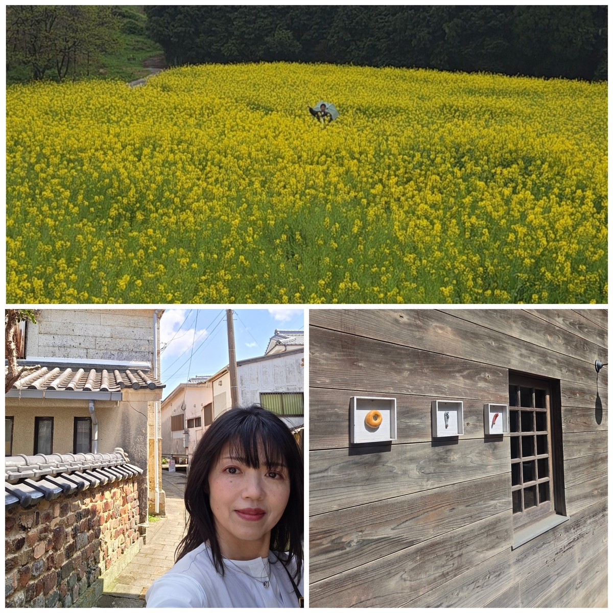 馬場の山桜と有田焼を巡る、佐賀の一日