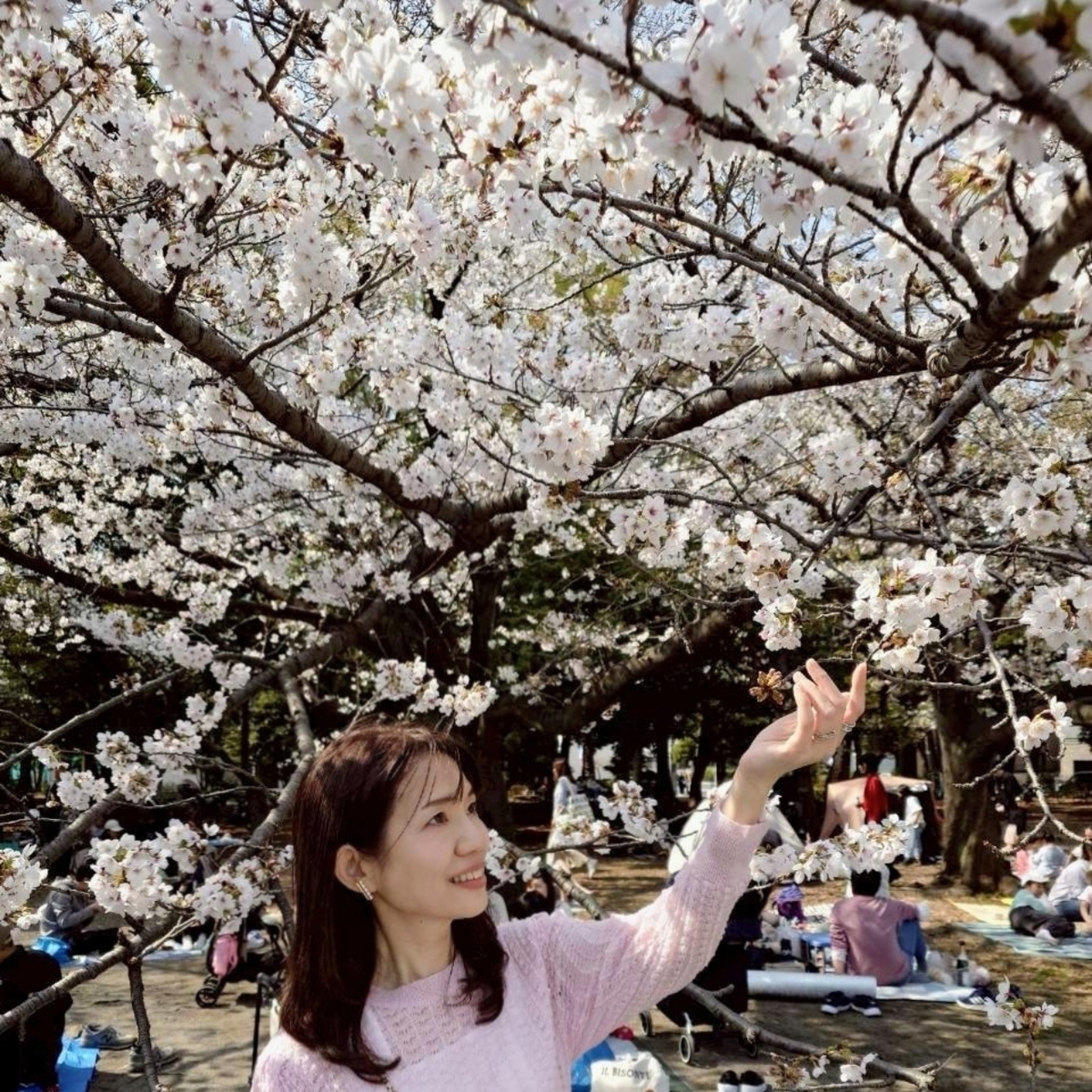 【清澄白河】満開の桜とCLANN BY THE RIVER