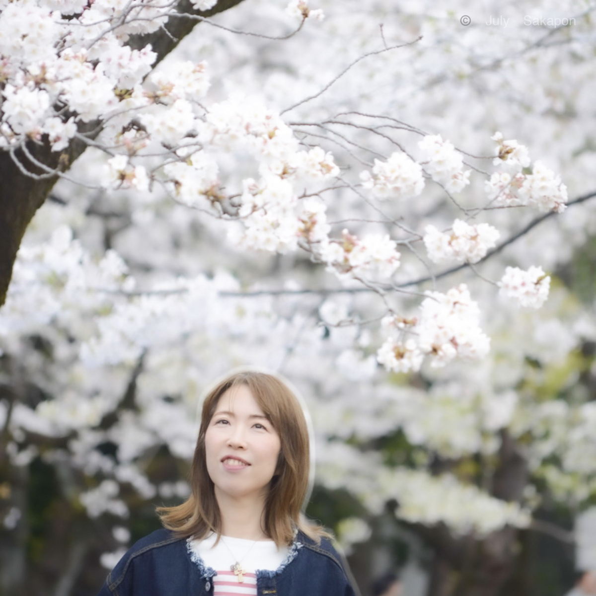 【断捨離】プロのエステティシャンが50代で手放した7つの習慣⑦完結