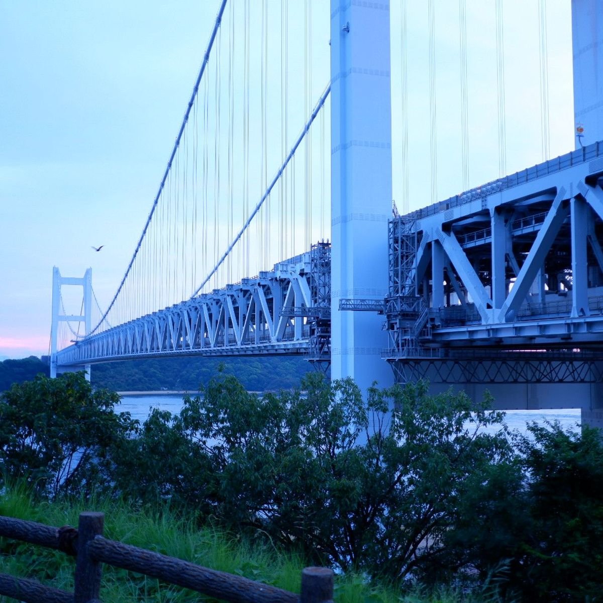【瀬戸内】温かなおもてなしに出会えたひとり旅