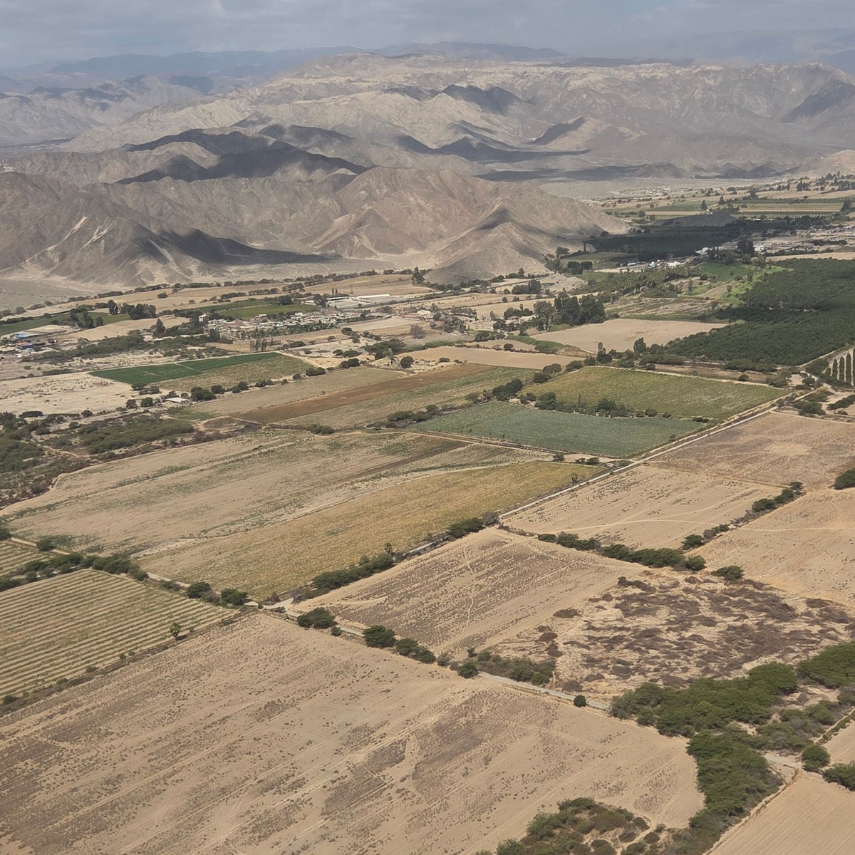 エクラ掲載の「バケットリスト」が現実に！ペルー・ナスカの地上絵フライト