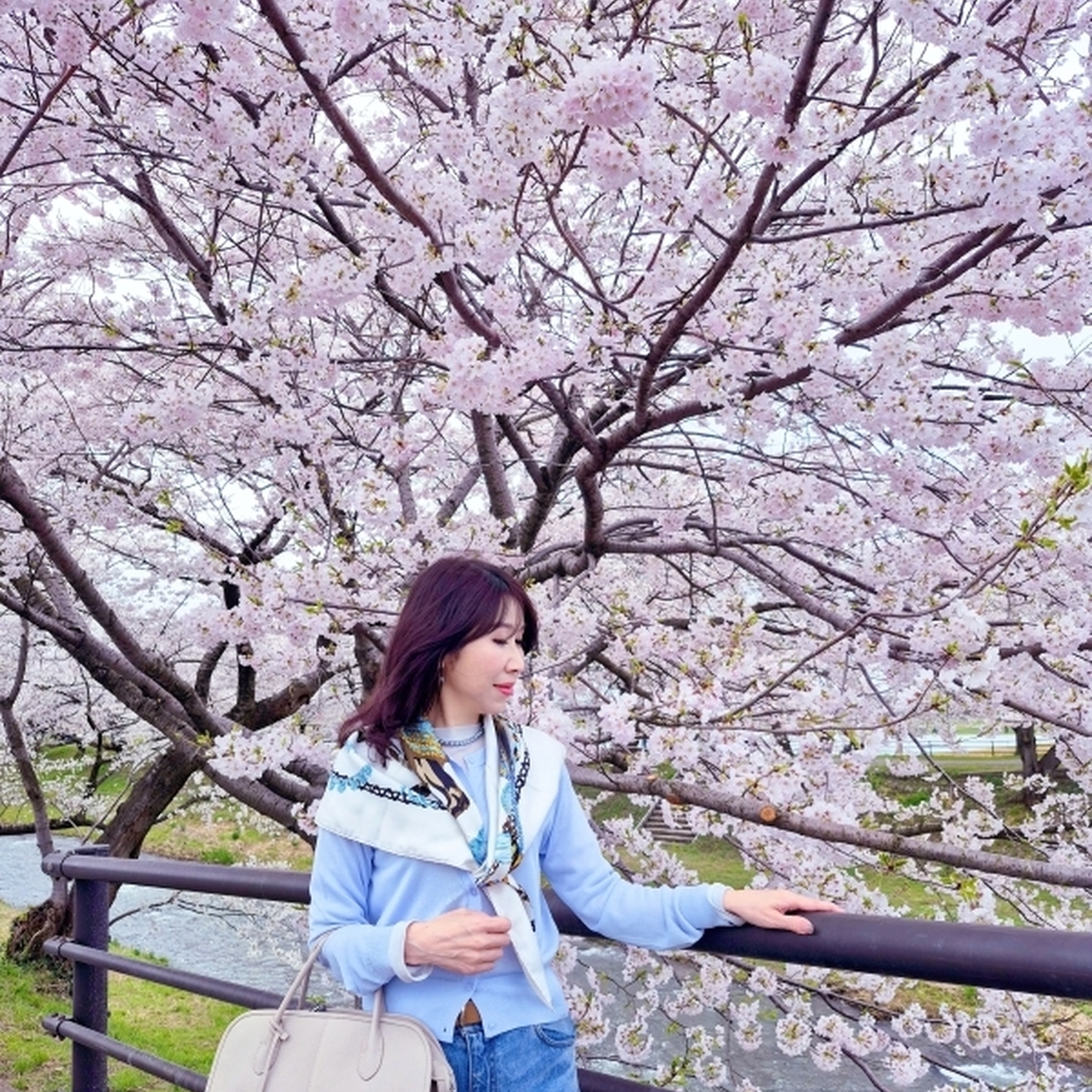 【富山・春旅】桜の絶景！｢春の四重奏｣＆隈研吾氏設計の「ガラス美術館」そして富山グルメを堪能♪