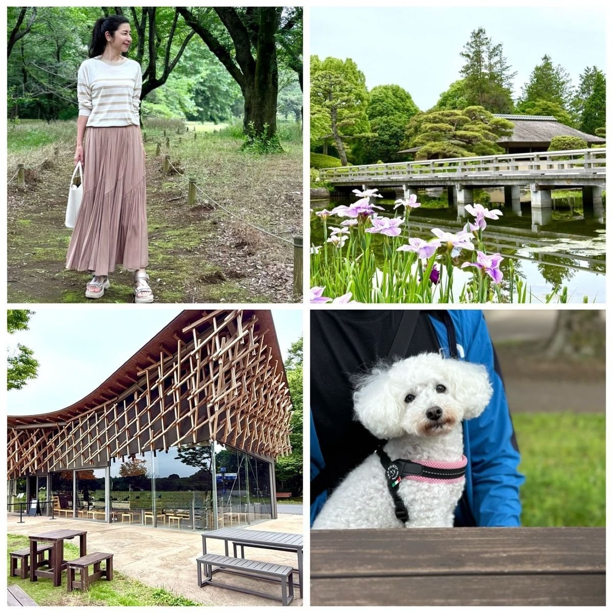 50代夫婦と愛犬で過ごす休日｜昭和記念公園の日本庭園とオカカフェへ