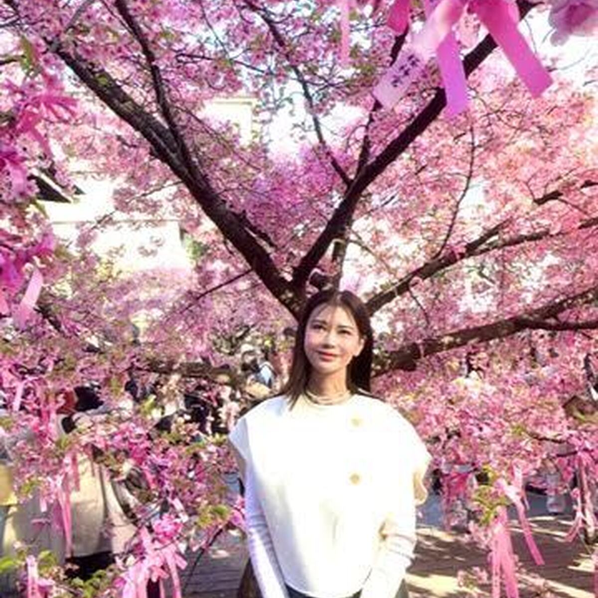 桜神宮へお花見。一足早い春を満喫