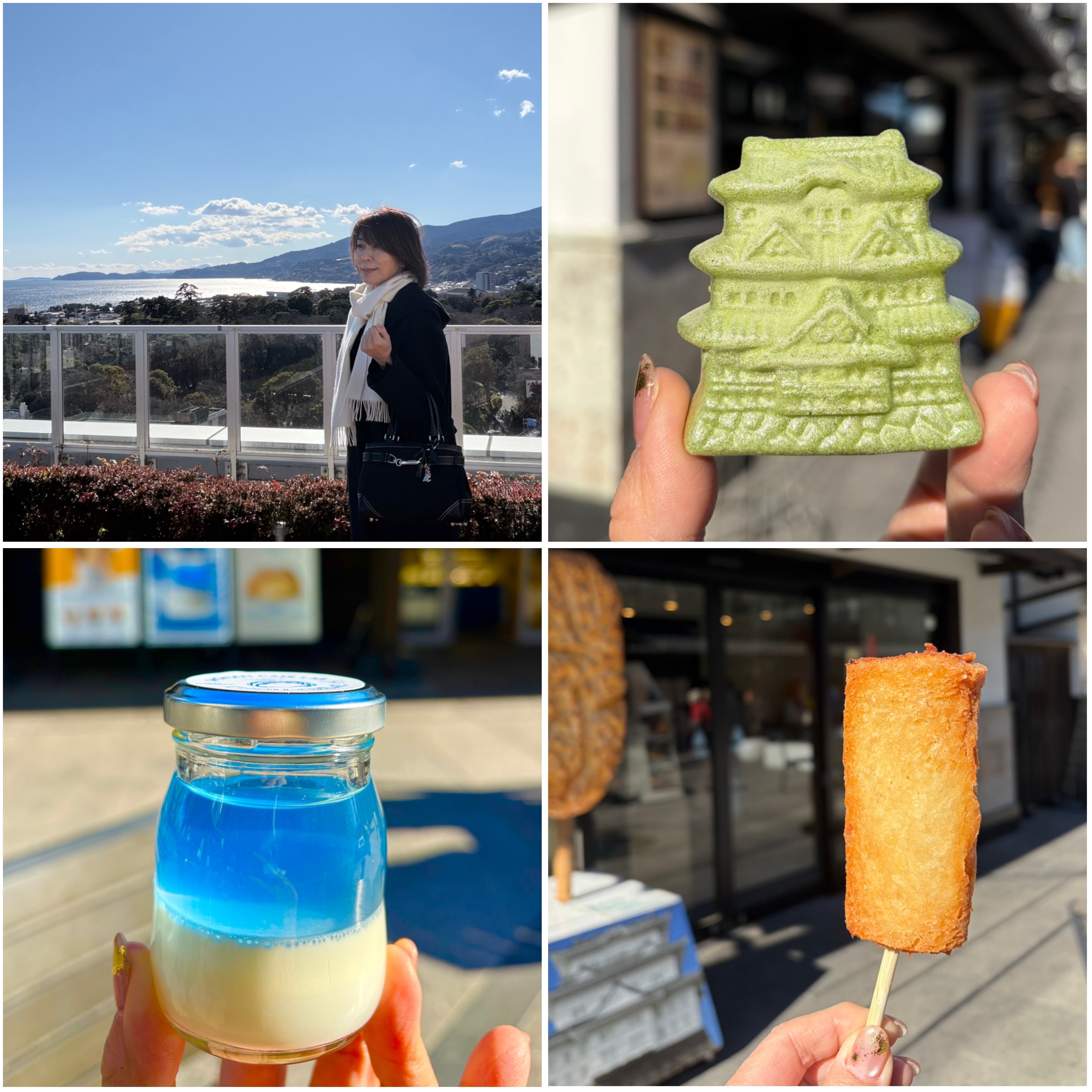 【日帰り小田原さんぽ】お城と足湯と食べ歩き♪