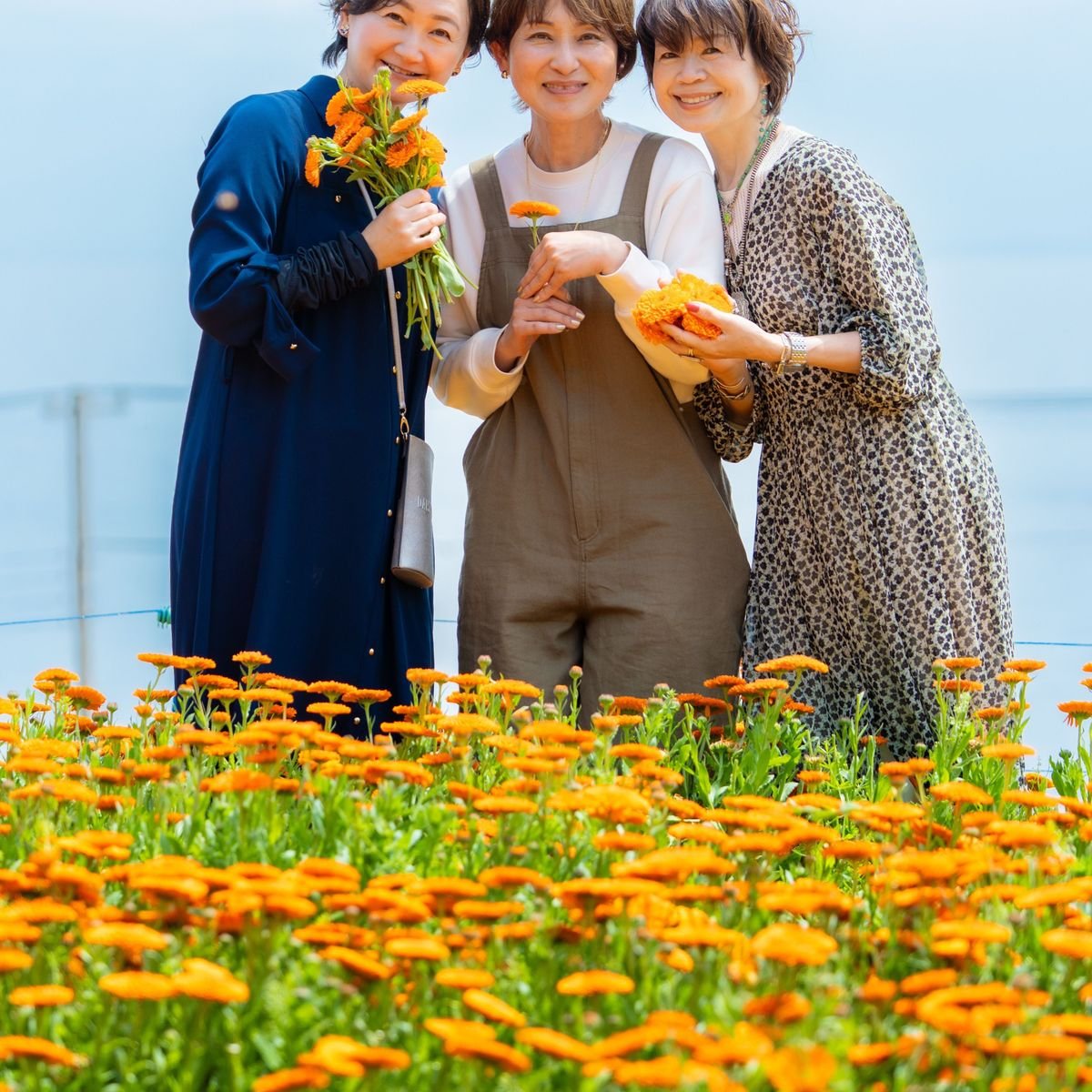 愛して止まない淡路島カレンデュラ、今年も会いに行って参りました❣️
