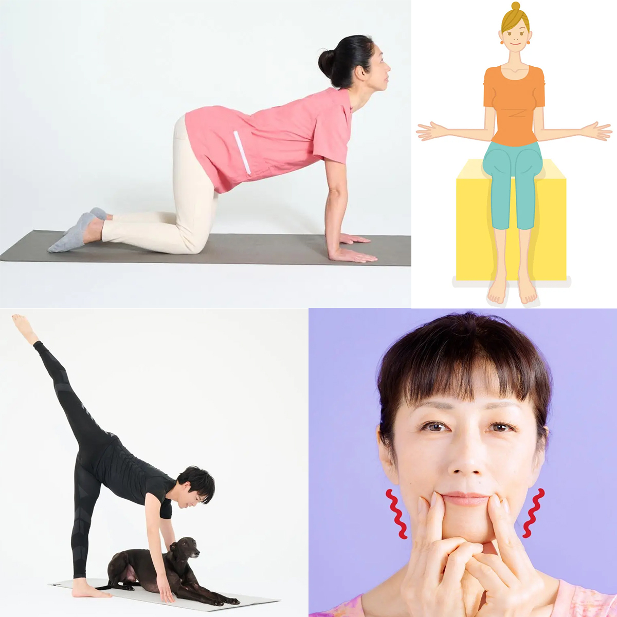 【ヘルスケア人気記事ランキング】「骨盤底筋」を動かしやすくするストレッチで、50代の”尿もれ悩み”解消へ