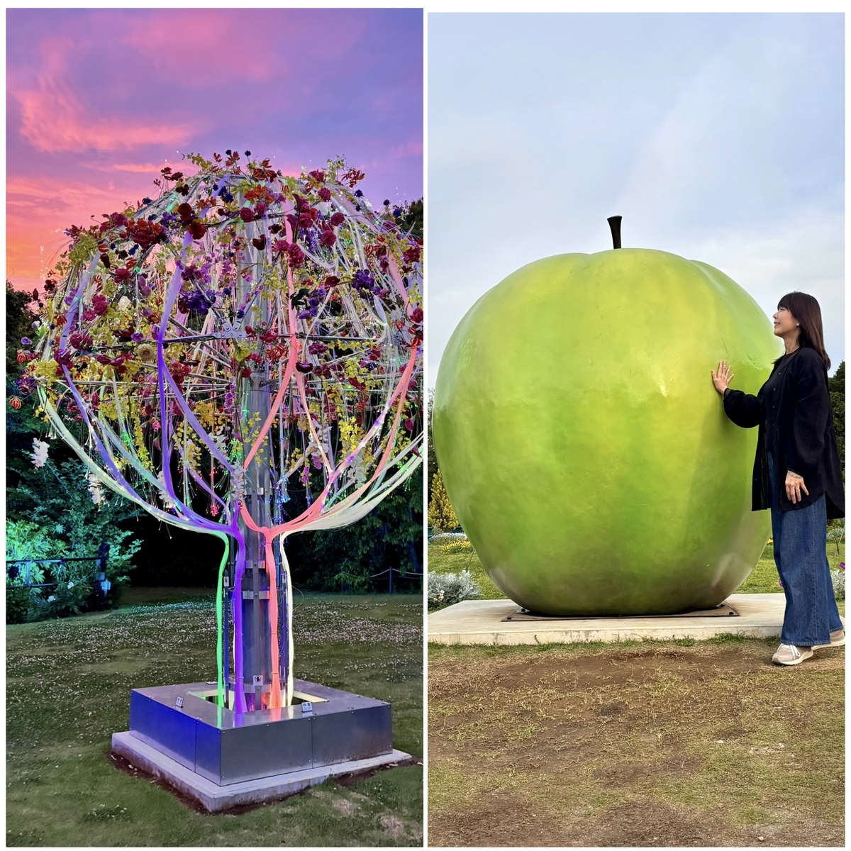千葉県にあるボタニカルミュージアムでライトアップされた花と植物を眺めながら幻想的な夜のお散歩♡