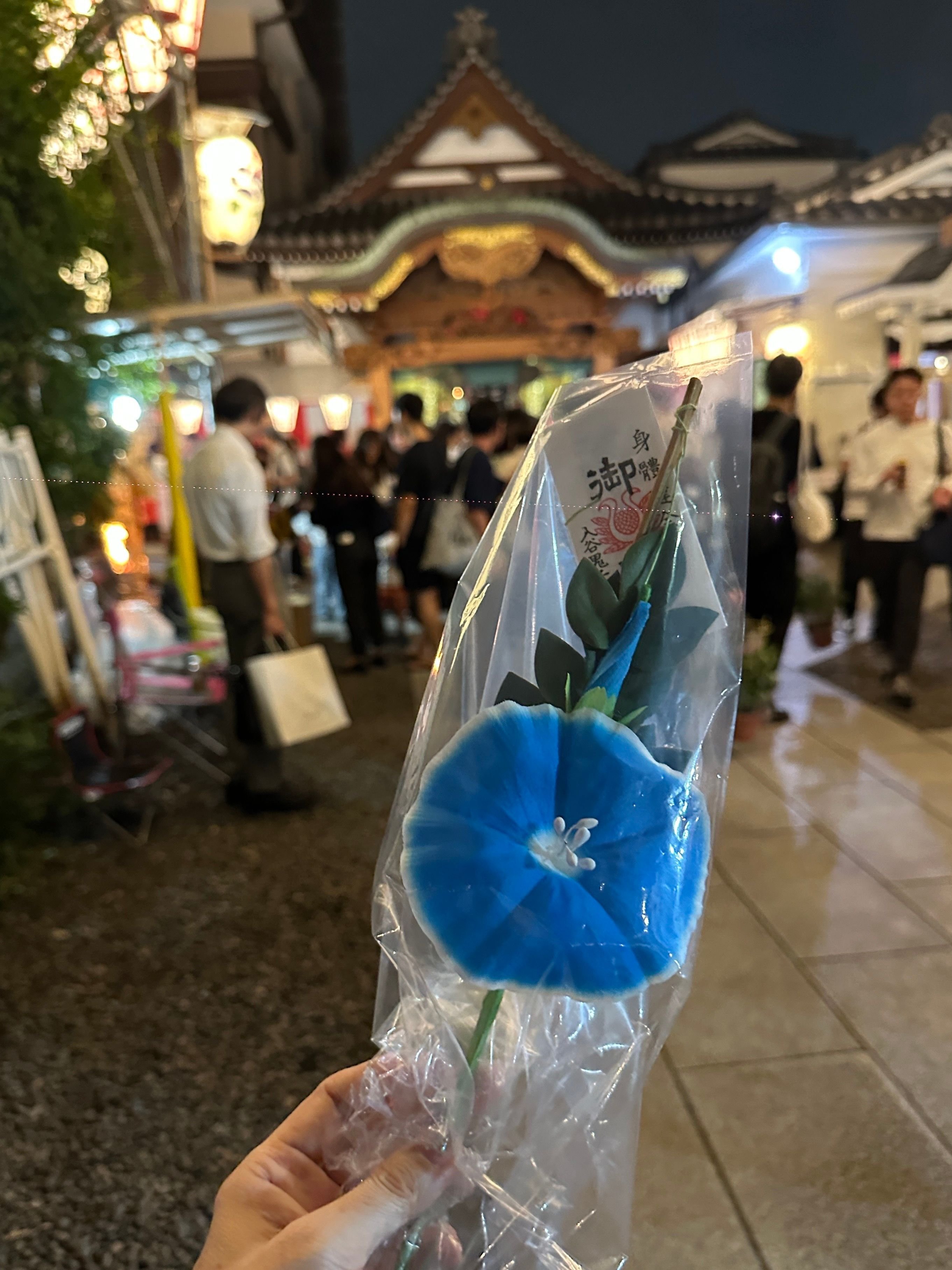 入谷朝顔市へ