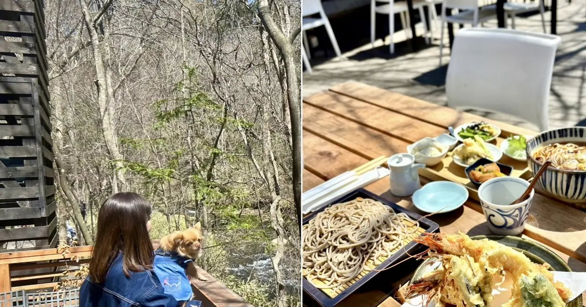 軽井沢ハルニレテラスへ⭐︎美味しいお蕎麦＆カフェ&川沿い散歩で