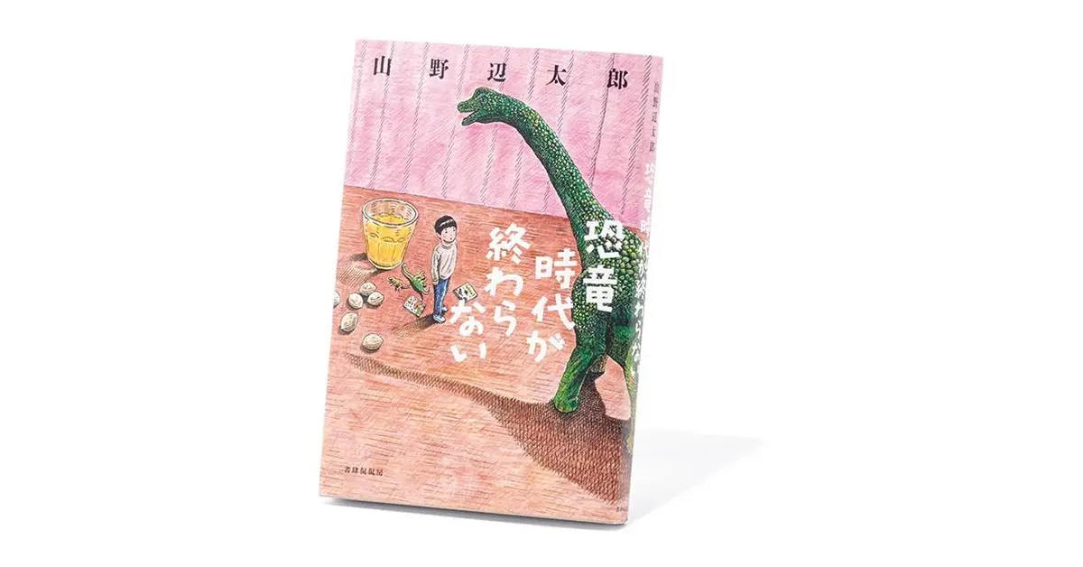 斎藤美奈子　色々9冊セット 521dbdb5d08b3a496e9f43c08eb351