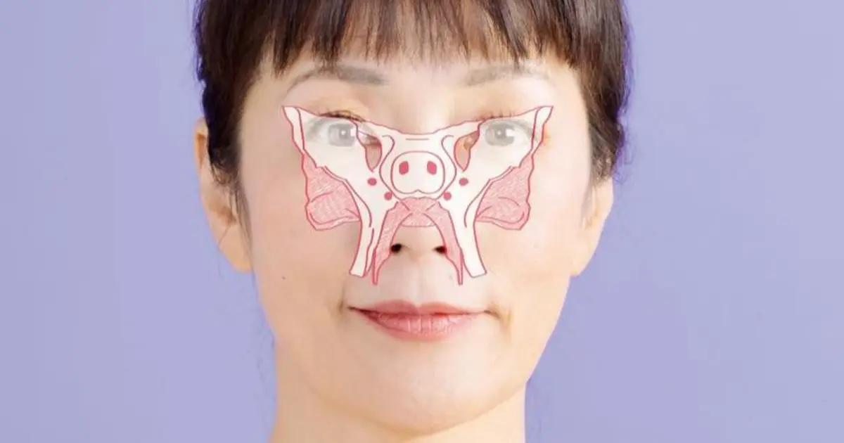 顔の歪みは蝶形骨（ちょうけいこつ）の歪みが大きな原因【50代からの